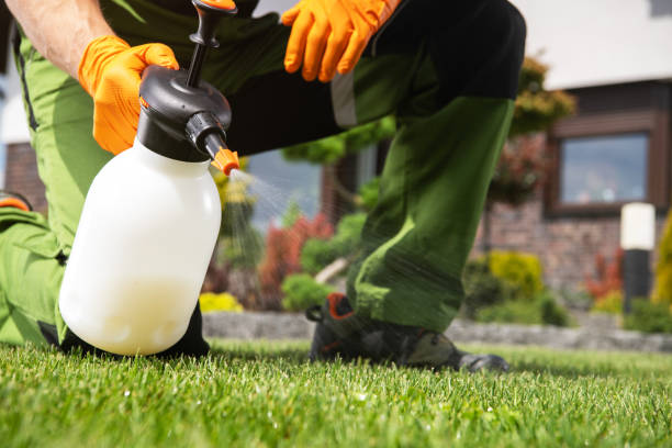 Insect Control in Blackwells Mills, NJ