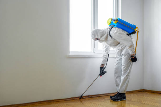Best Mosquito Control Services  in Blackwells Mills, NJ