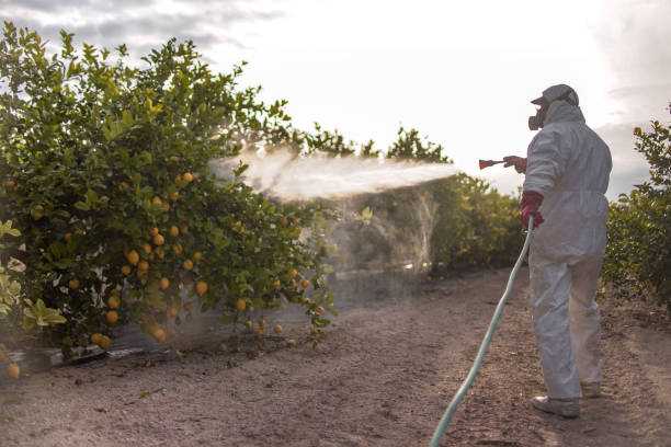 Best Local Pest Control Services  in Blackwells Mills, NJ