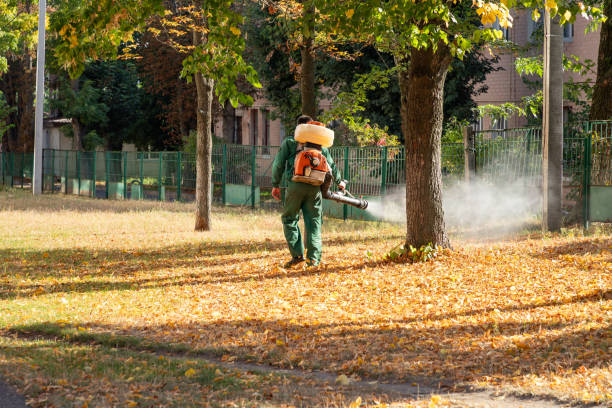 Best Pest Prevention Services  in Blackwells Mills, NJ